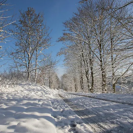 Welcome In - 11 In Der Naehe Des Skilifts Und Des Zentrums Von